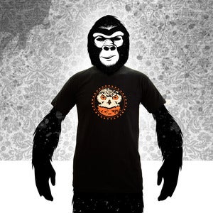 Image of Owl