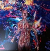 Image of various artists BLASTING VOICE 2x12"