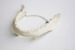 Image of Jaws Necklace