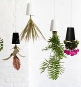 Image of New Coloured Sky Planter Recycled™   by Patrick Morris
