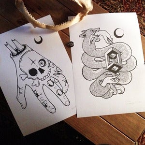 Image of Knuckles & Long Fox Box