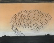 Image of Mustache Swarm by Shawn Smith