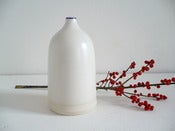 Image of Soliflore /  Blanc et bleu