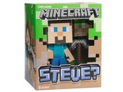 Image of Minecraft Steve Vinyl