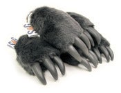 Image of Lucky Claws