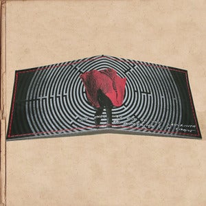 Image of looking for alaska wallet