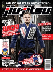 Image of Issue 11 Dec/Jan 2013