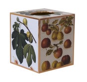 Image of Figs & Apple Tissue Box