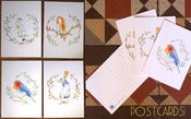 Image of Pack of Postcards.