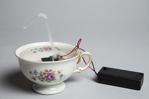 Image of Josh Baum, Tea cup, 2011 