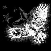 Image of Eagle Tee