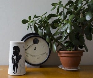 Image of Mr Black