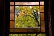 Image of HERE: The Lincoln Public Library 01