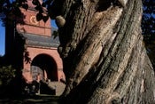 Image of HERE: The Lincoln Public Library 03