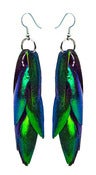 Image of Beetle Elytra Earrings 