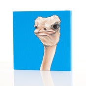 Image of OSTRICH 4X4 PAINTING