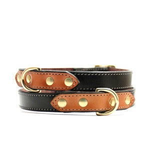Image of Voyage Collar (Black/Chestnut)