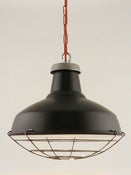 Image of PROTECTIVE CAGE | For Under Large Enamel Shade | Raw