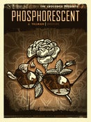 Image of Phosphorescent. Grouplove. J. Tillman. Seattle, 2010.