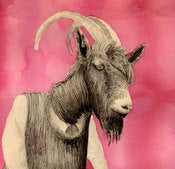 Image of Goat puppet 11 x 14 print