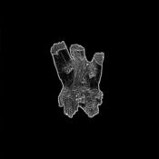 Image of HOW MUCH WOOD WOULD A WOODCHUCK CHUCK IF A WOODCHUCK COULD CHUCK WOOD? - s/t LP