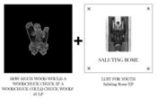 Image of LUST FOR WOOD Package