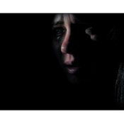 Image of Laurel Nakadate 365 days: a catalogue of tears - Signed Books available!