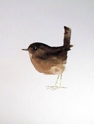 Image of Matt Sewell<br>Wren