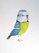 Image of Matt Sewell<br>Blue Tit