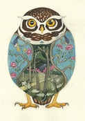 Image of Little Owl - Print