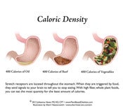 Image of Caloric Density Refrigerator Magnet