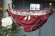Image of Bamboo Ruby Red Knicker