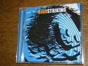 Image of Birdstriking - Birdstriking CD