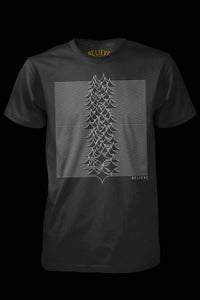 Image of Unknown Pleasures