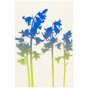 Image of Bluebells Card