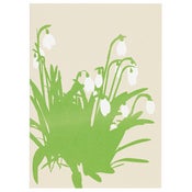 Image of Snowdrops Card