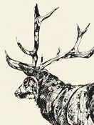 Image of Susie Wright- Standing Stag- Limited Edition Screenprint