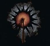 Image of SLIDHR / REBIRTH OF NEFAST "Ex-Nihilo" split LP