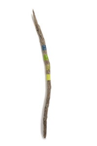 Image of Sandy no.20