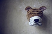 Image of Trophée bulldog ♥