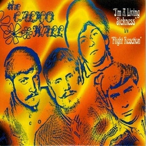 Image of THE CALICO WALL | I'M A LIVING SICKNESS 7"
