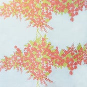Image of wattle ice blue end roll