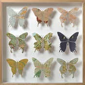 Image of Nine butterfly artwork Nº5