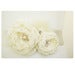 Image of Bridal Dress Sash Belt. Ivory Chiffon and Pearl Sash.