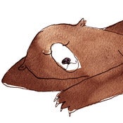 Image of Sleeping bear - print