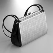 Image of accordion bag