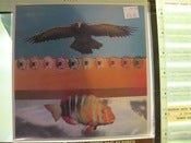 Image of Acid Mothers Temple/ Circle split 7"