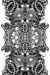 Image of Smith and Davis / Rope Geometry 03