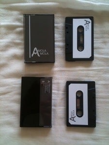 Image of DSTM 011 A Mola Mola 'Demo' Cassette 