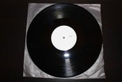Image of Point Reyes - Golden LP (TEST PRESSING)